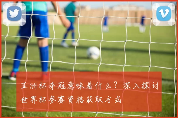 亚洲杯夺冠意味着什么?深入探讨世界杯参赛资格获取方式