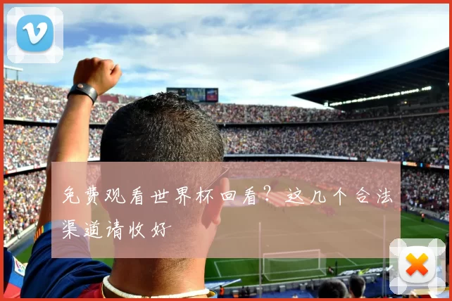 免费观看世界杯回看?这几个合法渠道请收好
