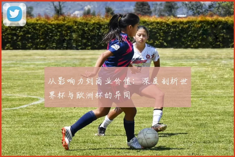 从影响力到商业价值：深度剖析世界杯与欧洲杯的异同