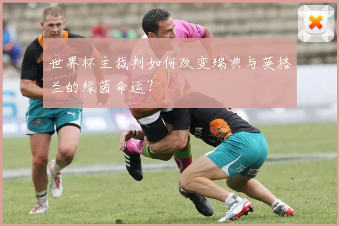 世界杯主裁判如何改变瑞典与英格兰的绿茵命运？