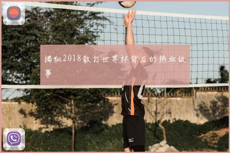 揭秘2018散打世界杯背后的热血故事