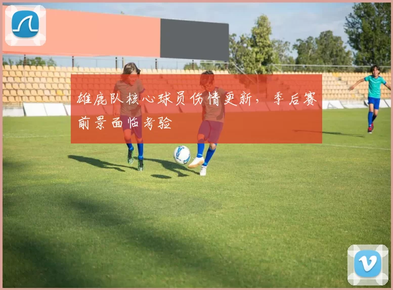 雄鹿队核心球员伤情更新，季后赛前景面临考验