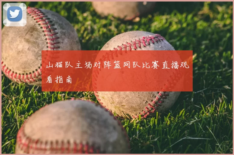 山猫队主场对阵篮网队比赛直播观看指南