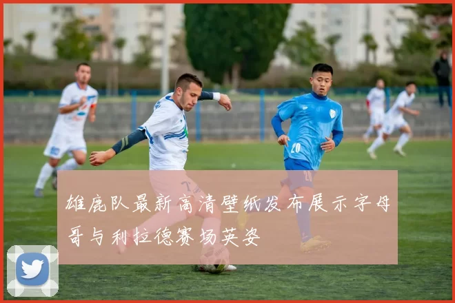 雄鹿队最新高清壁纸发布展示字母哥与利拉德赛场英姿