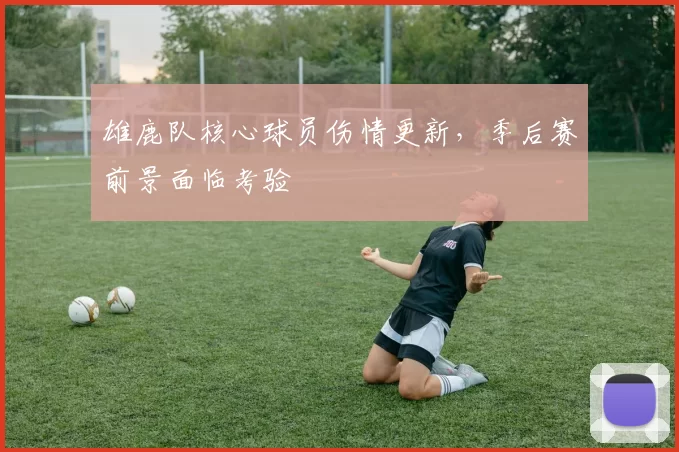 雄鹿队核心球员伤情更新,季后赛前景面临考验