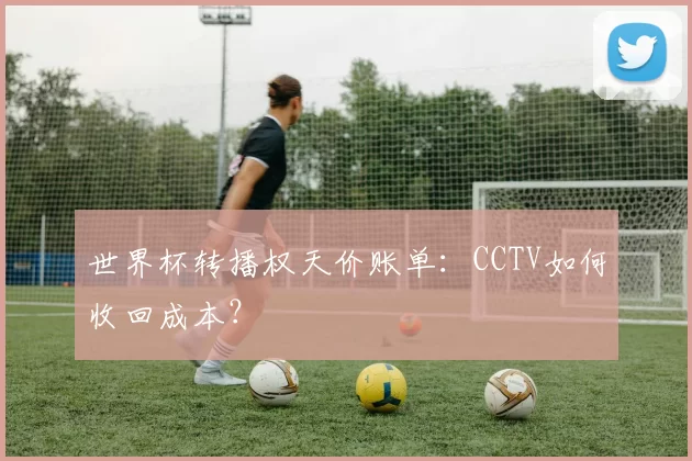 世界杯转播权天价账单:CCTV如何收回成本?