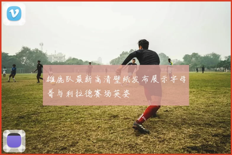 雄鹿队最新高清壁纸发布展示字母哥与利拉德赛场英姿