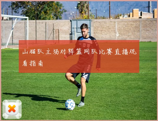 山猫队主场对阵篮网队比赛直播观看指南