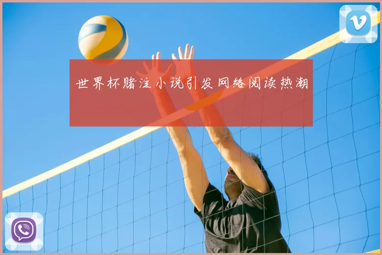 世界杯赌注小说引发网络阅读热潮