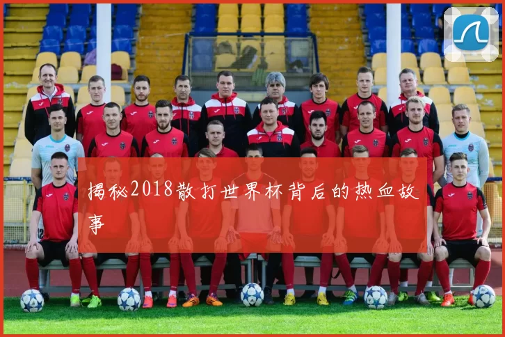 揭秘2018散打世界杯背后的热血故事