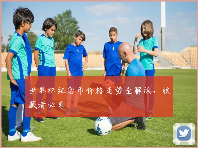 世界杯纪念币价格走势全解读，收藏者必看