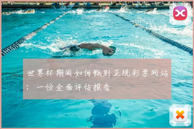 世界杯期间如何甄别正规彩票网站:一份全面评估报告